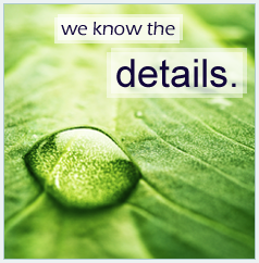 We know the details